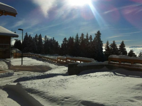 Splendid Chalet in Chamrousse with TV